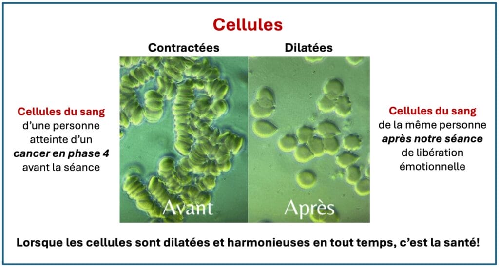 Soutien aux professionnels de la santé - Prise de sang avant et après une séance de libération émotionnelle