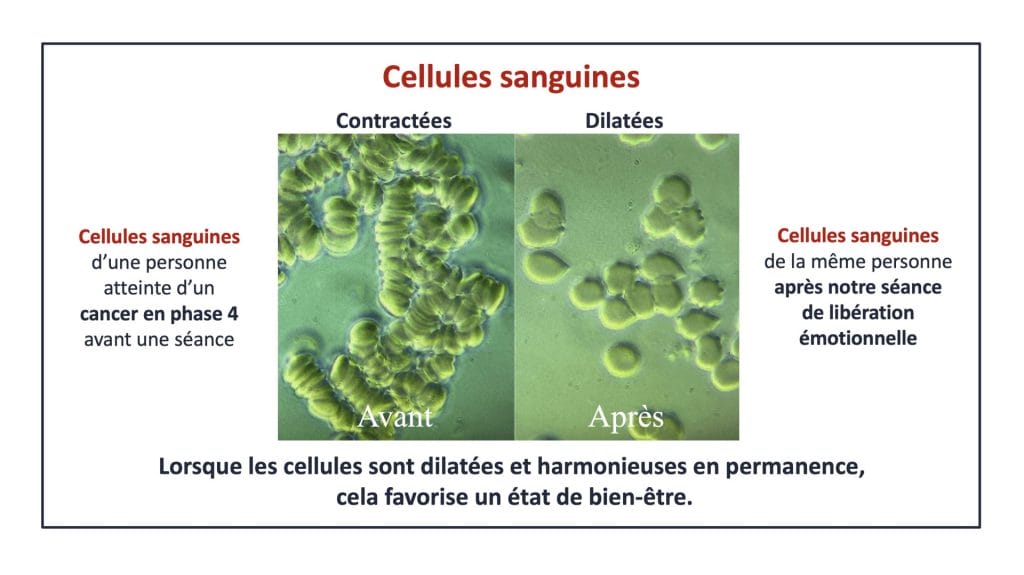 Soutien aux professionnels de la santé