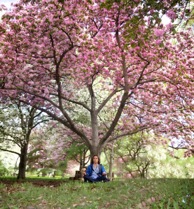 Master Richard meditating under a tree